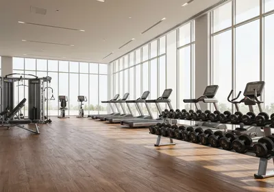 Modern gym with weight machines and natural light